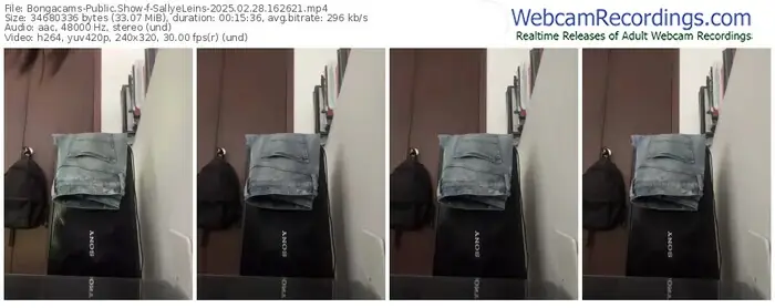 2025/02/28/bongacams-sallyeleins-16-26-21