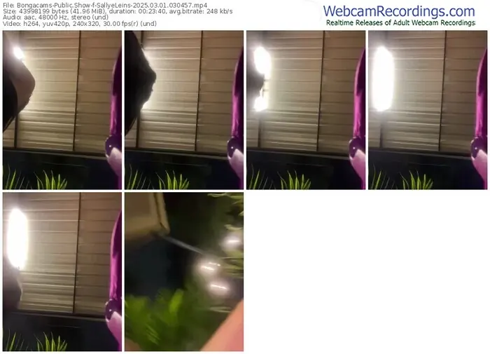 2025/03/01/bongacams-sallyeleins-03-04-57