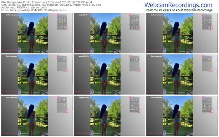 2025/03/18/bongacams-ladyofdesire-03-33-36