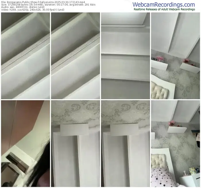 2025/03/30/bongacams-sallyeleins-17-21-43