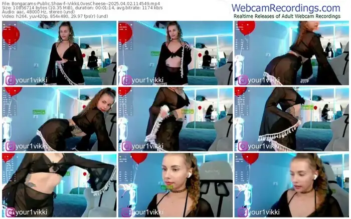 2025/04/02/bongacams--vikkil0vescheese--11-45-49