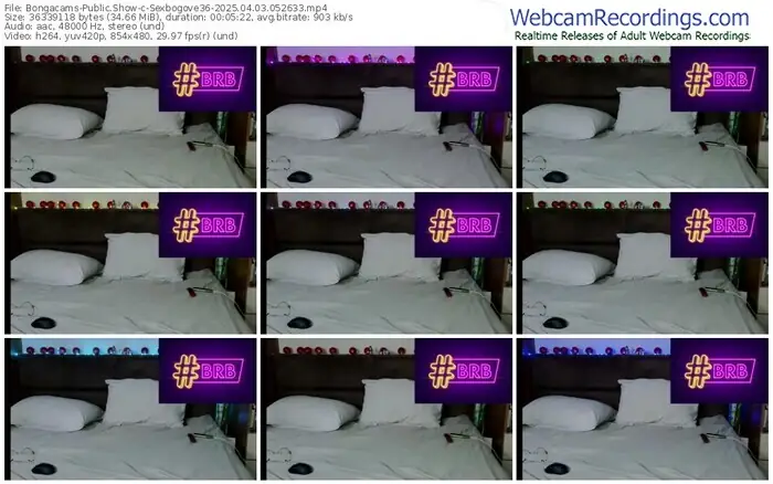 2025/04/03/bongacams-sexbogove36-05-26-33