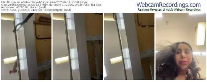 2025/04/11/bongacams-sallyeleins-15-36-13