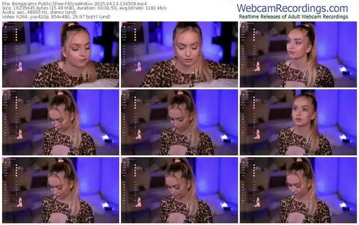 2025/04/13/bongacams-elysawetxx-13-45-08