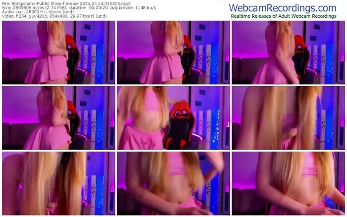2025/04/14/bongacams-meow-01-03-15