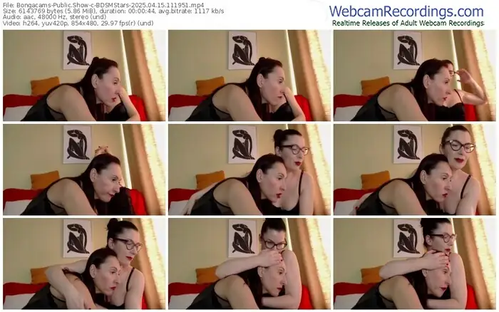 2025/04/15/bongacams-bdsmstars-11-19-51