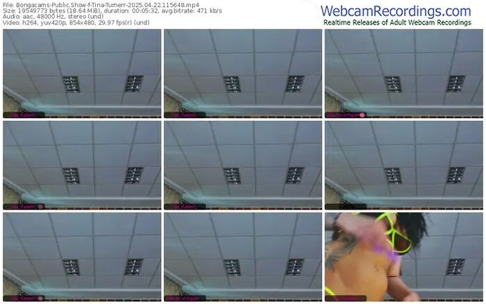 2025/04/22/bongacams-tina-turnerr-11-56-48