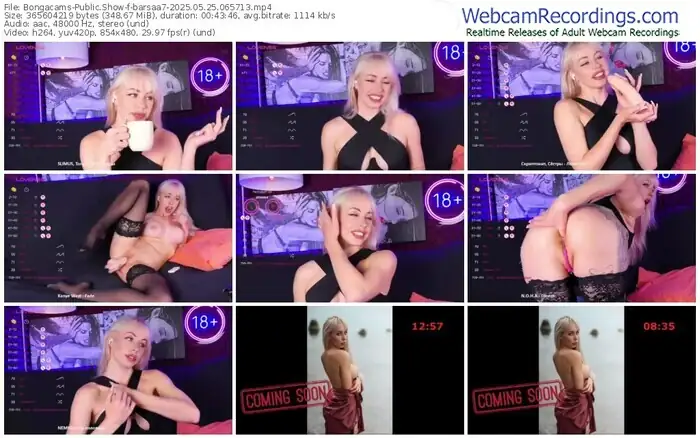 2025/05/25/bongacams-barsaa7-06-57-13