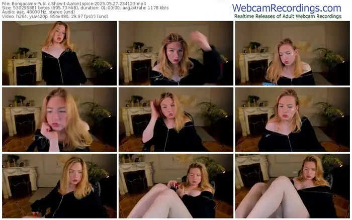 2025/05/27/bongacams-aaron1spice-23-41-23