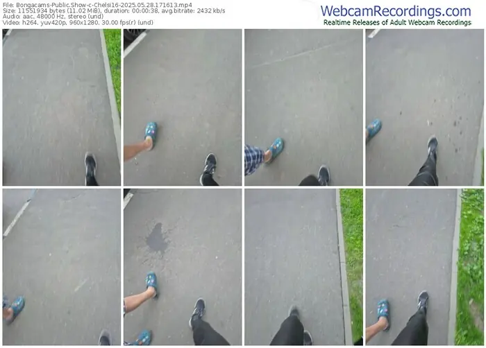 2025/05/28/bongacams-chelsi16-17-16-13