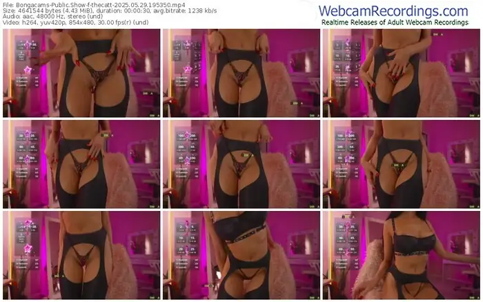 2025/05/29/bongacams-thecatt-19-53-50