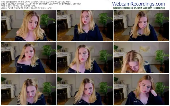 2025/06/07/bongacams-aaron1spice-01-41-52