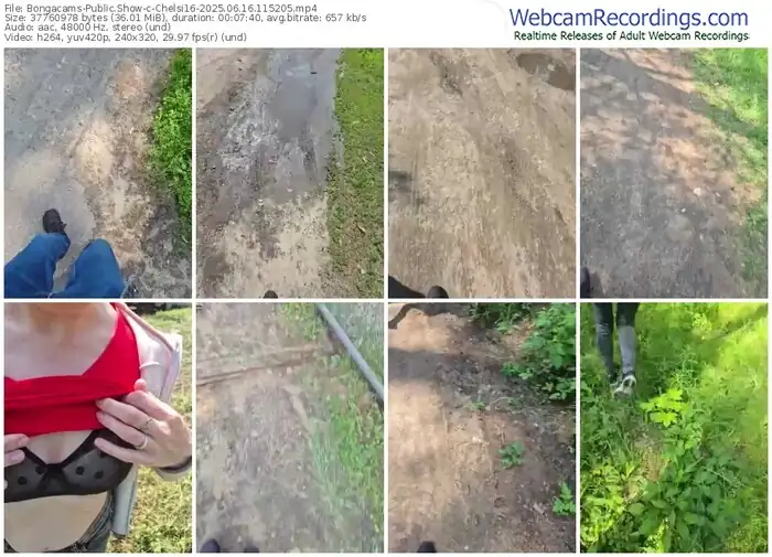 2025/06/16/bongacams-chelsi16-11-52-05