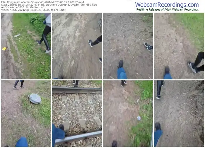 2025/06/17/bongacams-chelsi16-17-00-52