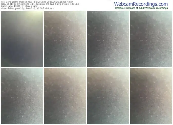 2025/06/28/bongacams-sallyeleins-16-35-57
