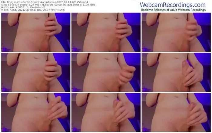 2025/07/14/bongacams-aaron1spice-00-14-50
