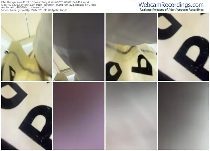 2025/08/02/bongacams-sallyeleins-04-44-09