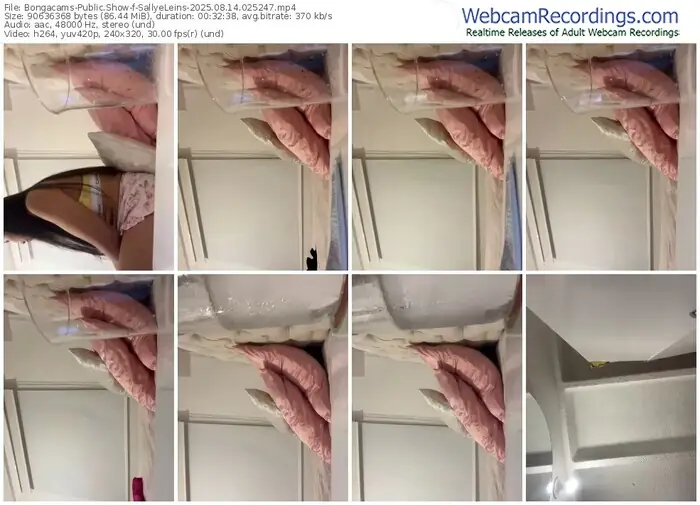 2025/08/14/bongacams-sallyeleins-02-52-47