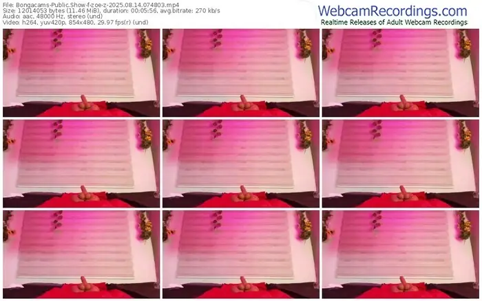 2025/08/14/bongacams-zoe-z-07-48-03