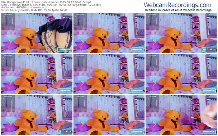 2025/08/17/bongacams-gabrielamort-00-42-15