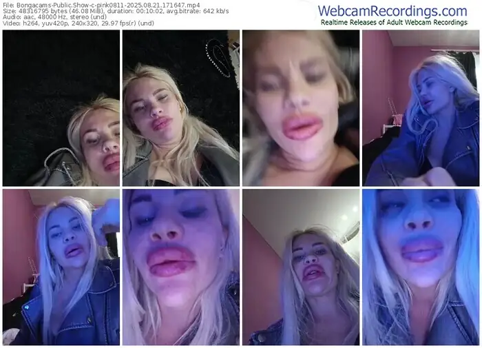 2025/08/21/bongacams-pink0811-17-16-47