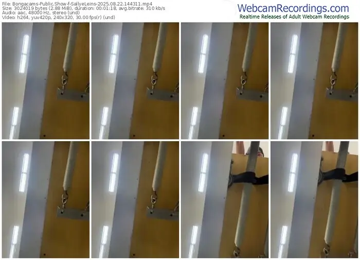 2025/08/22/bongacams-sallyeleins-14-43-11