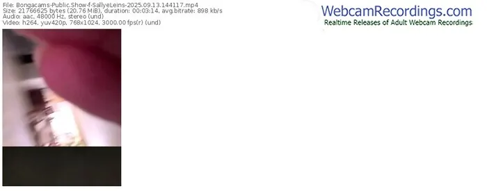 2025/09/13/bongacams-sallyeleins-14-41-17