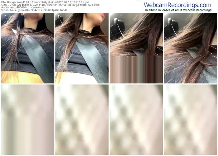 2025/09/13/bongacams-sallyeleins-16-11-05
