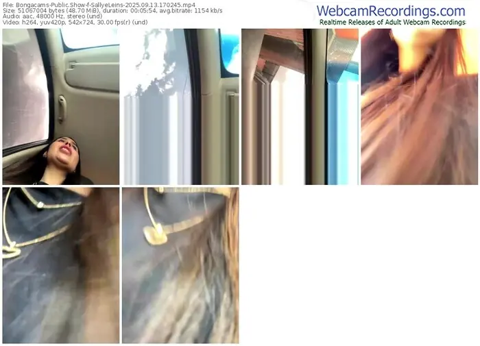 2025/09/13/bongacams-sallyeleins-17-02-45