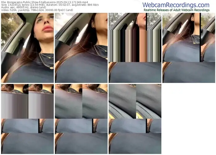 2025/09/13/bongacams-sallyeleins-17-13-49