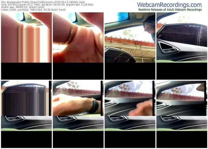 2025/09/13/bongacams-sallyeleins-18-59-01