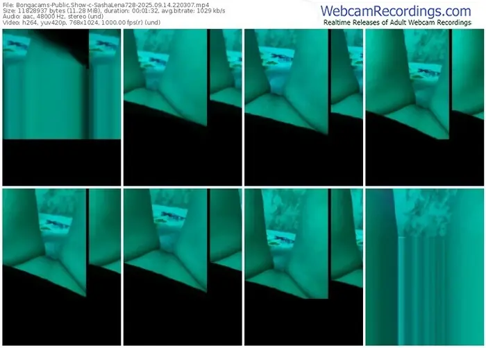 2025/09/14/bongacams-sashalena728-22-03-07