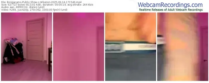 2025/09/14/bongacams-wbozon-17-15-46