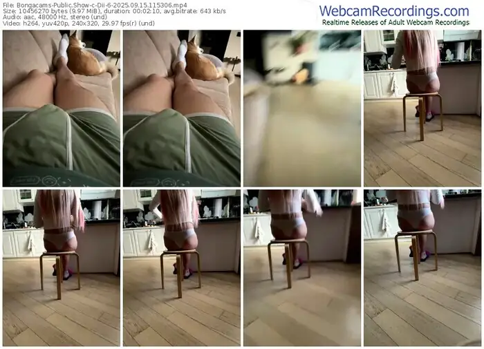 2025/09/15/bongacams-dii-6-11-53-06