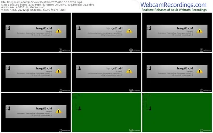 2025/09/15/bongacams-evaellis-10-02-56