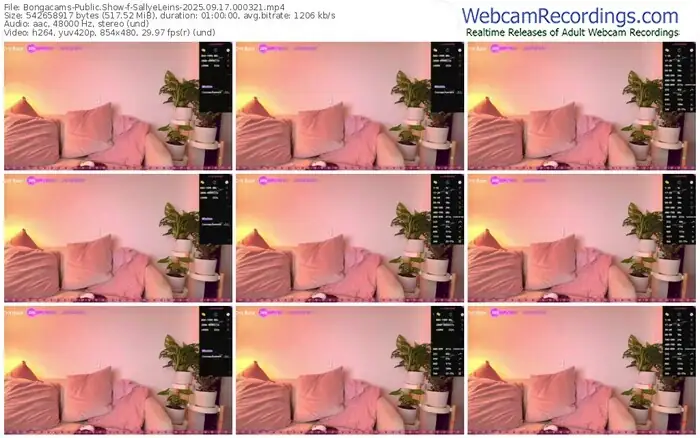 2025/09/17/bongacams-sallyeleins-00-03-21