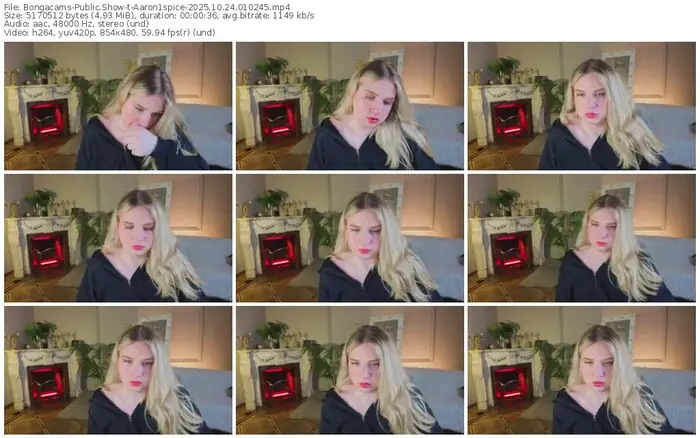 2025/10/24/bongacams-aaron1spice-01-02-45