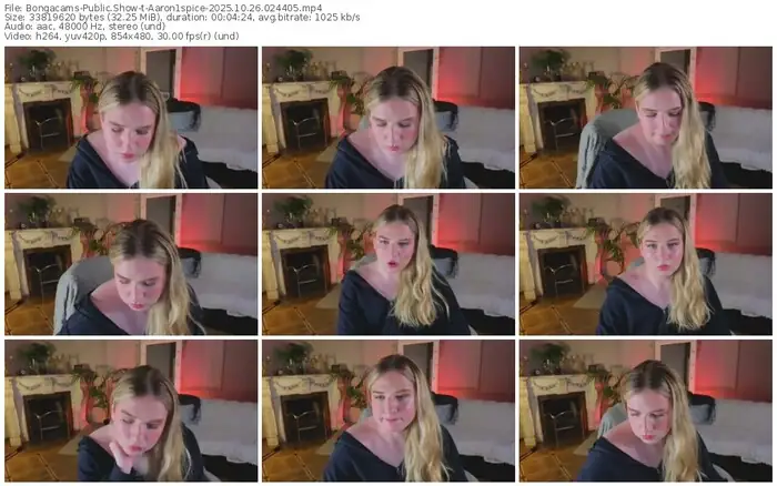 2025/10/26/bongacams-aaron1spice-02-44-05