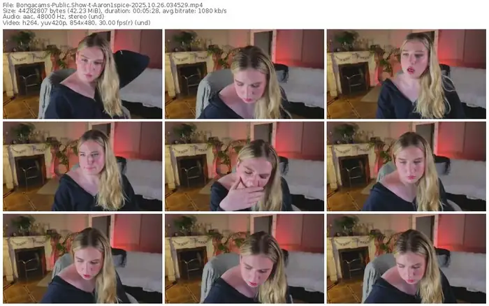 2025/10/26/bongacams-aaron1spice-03-45-29