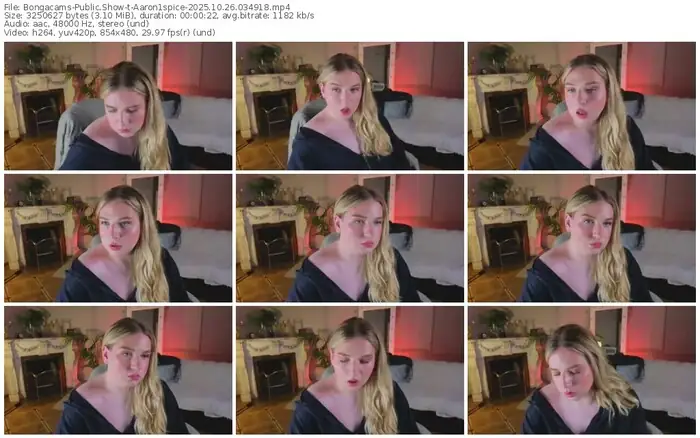 2025/10/26/bongacams-aaron1spice-03-49-18