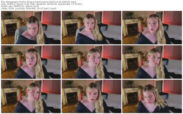 2025/10/26/bongacams-aaron1spice-03-50-31