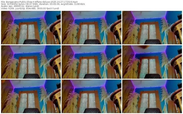2025/10/27/bongacams-tiffany-deluxe-17-23-16