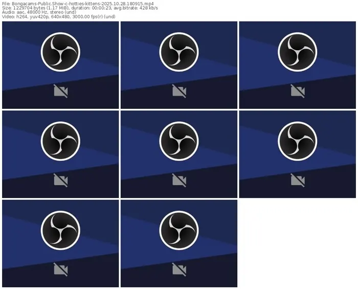 2025/10/28/bongacams-hotties-kittens-18-09-15