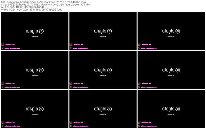 2025/10/29/bongacams-vanesasimon-14-01-06