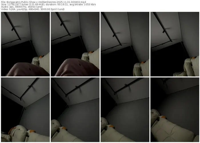 2025/11/01/bongacams-hiddendesires-00-04-02