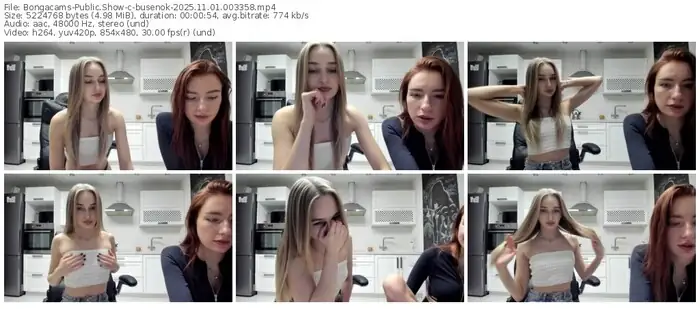 2025/11/01/bongacams-busenok-00-33-58