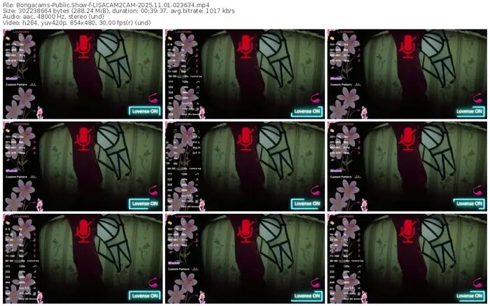 2025/11/01/bongacams-lisacam2cam-02-36-34