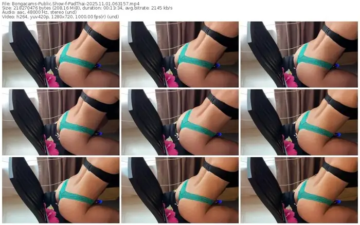2025/11/01/bongacams-padthai-06-31-57