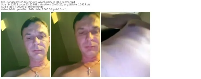 2025/11/01/bongacams-akool-13-40-29