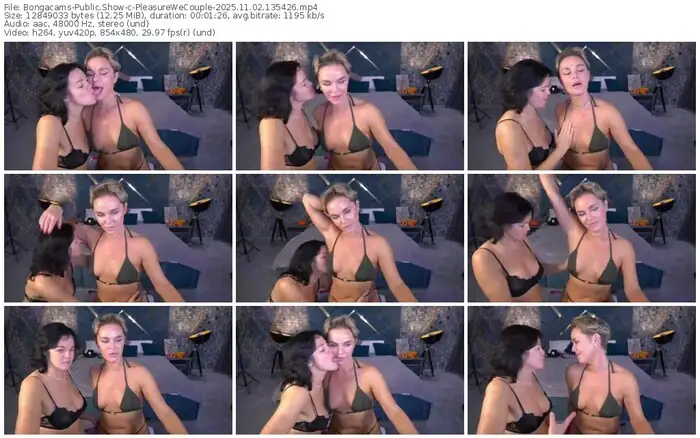 2025/11/02/bongacams-pleasurewecouple-13-54-26